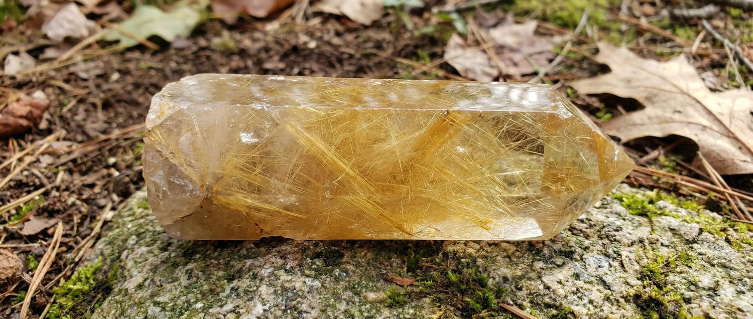 Gold aerse