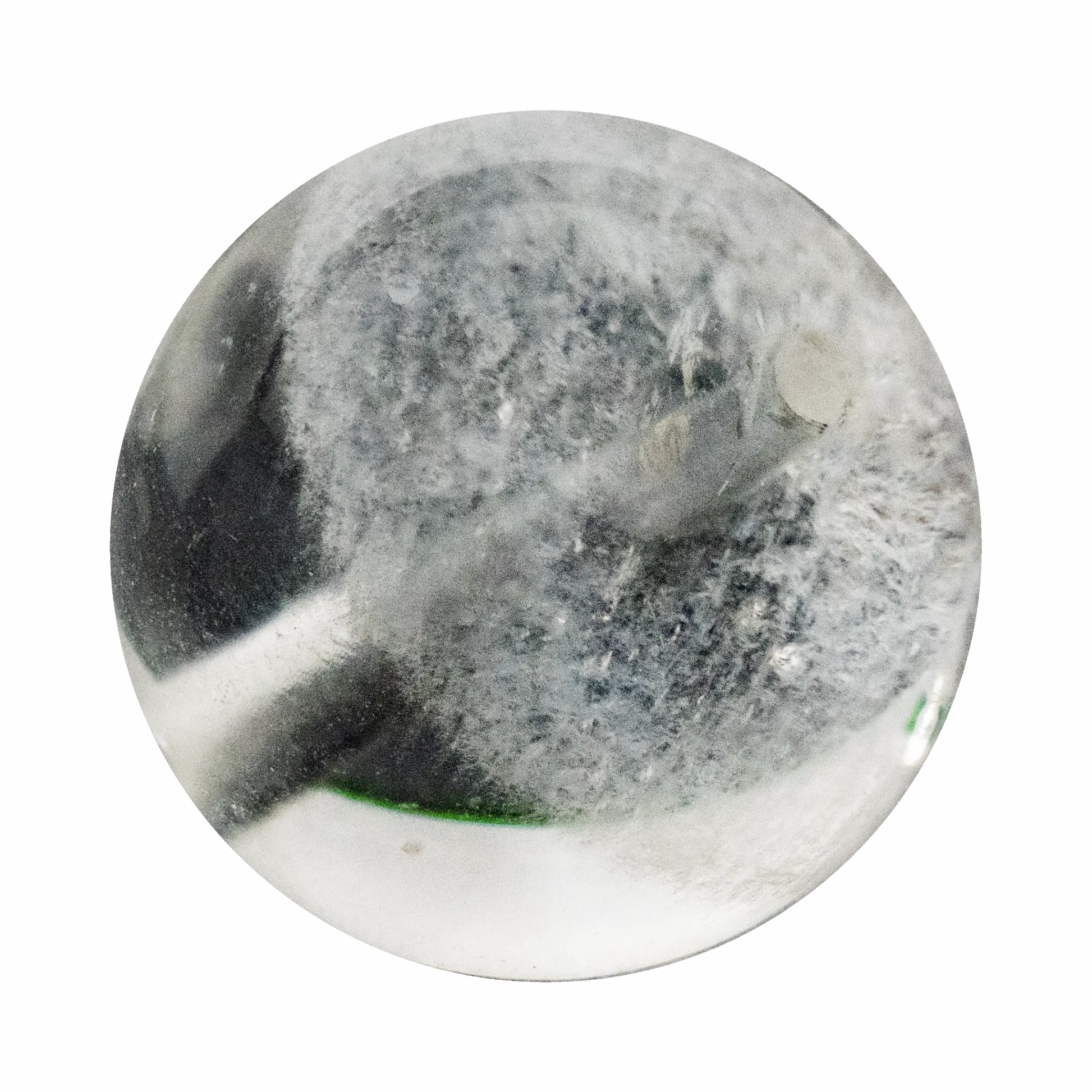 Skyline White Phantom.