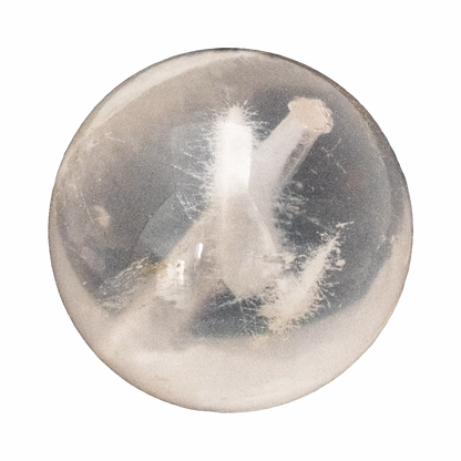 Bridal White Snow Phantom.