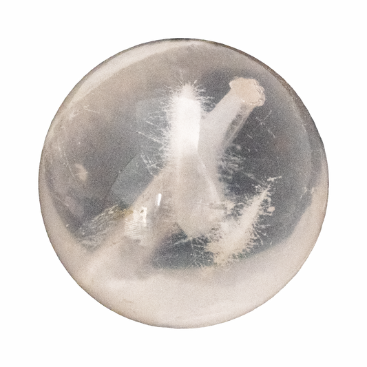 Bridal White Snow Phantom