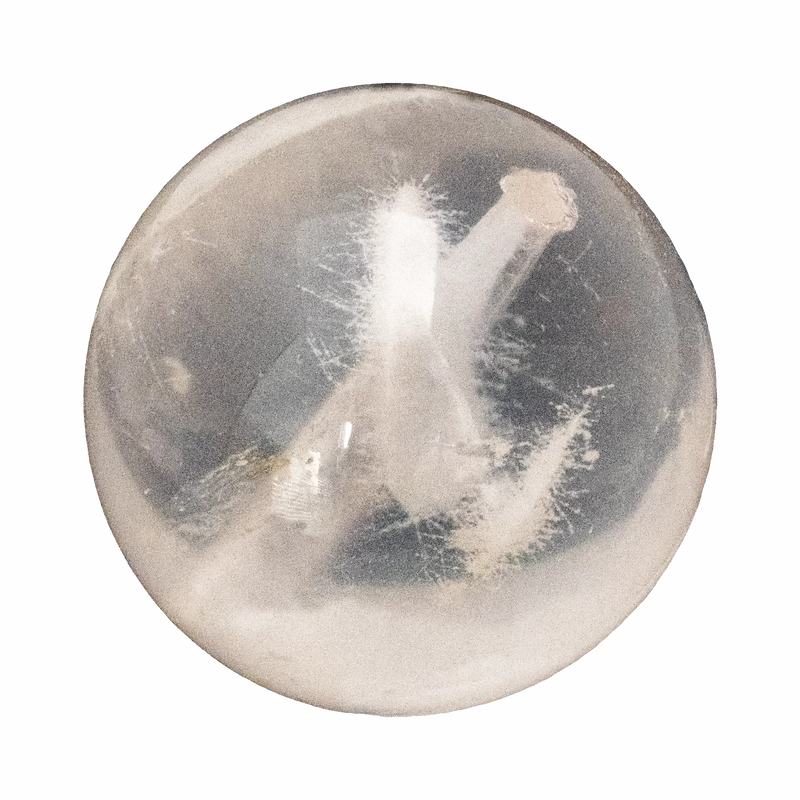 Bridal White Snow Phantom